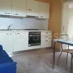 Rent 2 bedroom apartment of 35 m² in Urbino