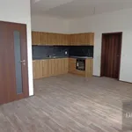 Rent 3 bedroom apartment in Ústí nad Labem