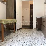 Rent 2 bedroom apartment of 65 m² in Milano