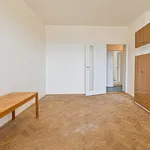 Rent 3 bedroom apartment in Brno