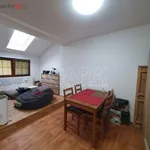 Rent 2 bedroom apartment of 47 m² in Přerov nad Labem