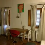 Rent 1 bedroom apartment in Florence