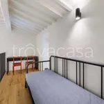 Rent 3 bedroom apartment of 100 m² in Firenze