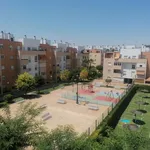 Alquilo 3 dormitorio apartamento de 90 m² en  Mairena del Aljarafe