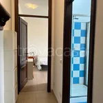 Rent 2 bedroom apartment of 55 m² in Milano