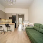 Rent 2 bedroom apartment of 45 m² in tarnow