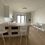 Rent 3 bedroom apartment of 80 m² in Bari