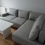 Rent 3 bedroom apartment of 61 m² in Włocławek