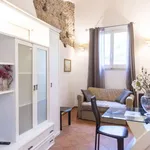 Rent 1 bedroom apartment of 45 m² in rome