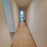 Rent 2 bedroom apartment of 56 m² in Berlin