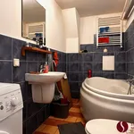 Rent 1 bedroom apartment of 37 m² in Poznan