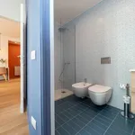 Rent 1 bedroom apartment of 45 m² in Milan