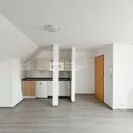 Rent 1 bedroom apartment in Capital City of Prague