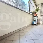 Rent 3 bedroom apartment of 79 m² in Torino