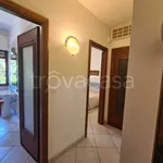 Rent 4 bedroom apartment of 81 m² in Alassio