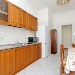 Rent 5 bedroom apartment of 110 m² in Rome