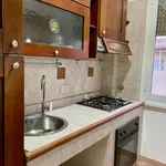 Rent 1 bedroom apartment in Rome