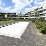 Rent 1 bedroom apartment in Waregem