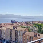 Rent 1 bedroom apartment of 21 m² in Ajaccio