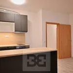 Rent 2 bedroom apartment in Olomouc