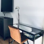 Rent 1 bedroom apartment of 592 m² in Dresden