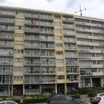 Rent 2 bedroom apartment in Genk