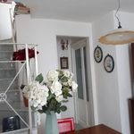 Rent 3 bedroom apartment of 80 m² in Parma