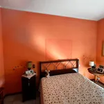 Rent 2 bedroom apartment of 80 m² in Novara