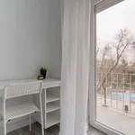 Rent a room in madrid