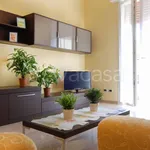 Rent 2 bedroom apartment of 75 m² in Bologna