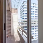 Rent 5 bedroom apartment in Valencia