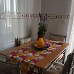 Habitación en alicante