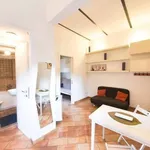 Rent 1 bedroom apartment in rome