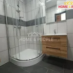 Pronájem bytu 3+1 + balkon, 66 m2, Nová Ves u Sokolova