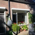 Rent 2 bedroom house of 100 m² in Tilburg