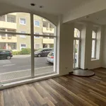 Rent 1 bedroom apartment in Magdeburg