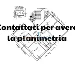 Affitto 3 camera appartamento di 60 m² in Carrara