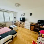 Rent 2 bedroom apartment in Tábor