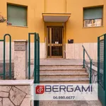 Rent 4 bedroom apartment of 67 m² in Roma