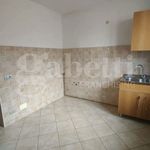Rent 4 bedroom apartment of 100 m² in Biella