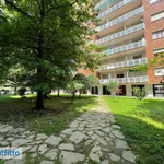 Rent 2 bedroom apartment of 45 m² in Turin