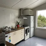 Rent 4 bedroom apartment in Dunedin