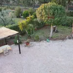 Rent 2 bedroom house of 65 m² in Capalbio