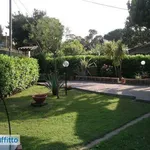 Rent 5 bedroom house of 75 m² in Laura