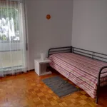 Rent 4 bedroom apartment in Castelo Branco