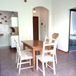 Rent 3 bedroom apartment of 60 m² in Cervia