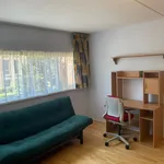 Rent 4 bedroom house in Haarlem