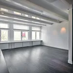 Rent 2 bedroom apartment of 115 m² in Amsterdam