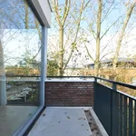 Rent 3 bedroom apartment of 59 m² in Aalst