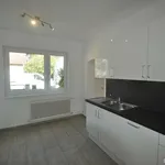 Bestens renoviertes Einfamilienhaus Eisberg mit Gartenterrasse und Garage